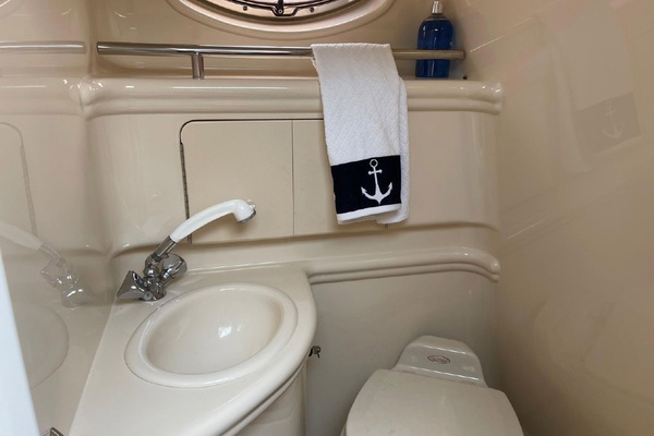 SeaFood 28ft Sea Ray Yacht For Sale