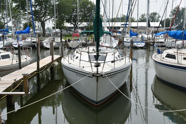 Tanager 36ft Catalina Yacht For Sale