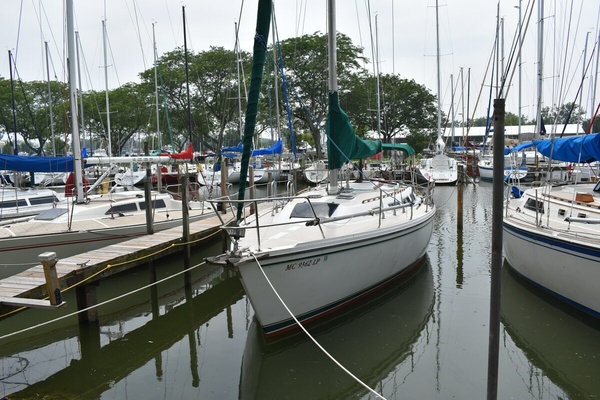 Tanager 36ft Catalina Yacht For Sale