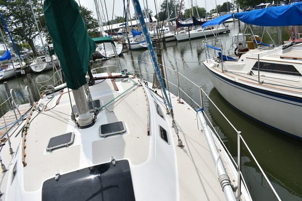 Tanager 36ft Catalina Yacht For Sale