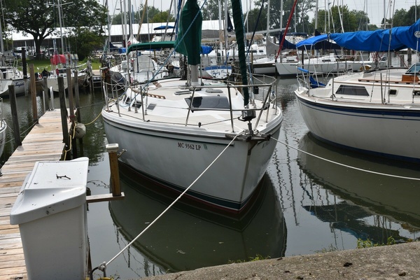 Tanager 36ft Catalina Yacht For Sale