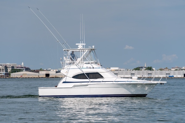 2003 Bertram 39