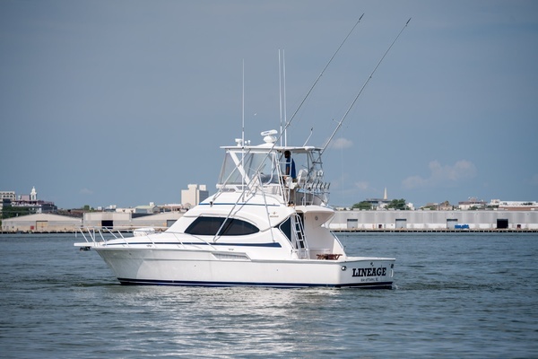 2003 Bertram 39