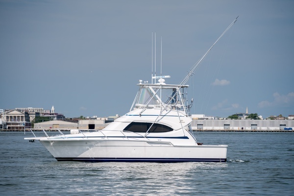 2003 Bertram 39