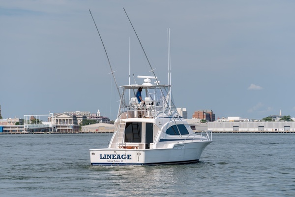 2003 Bertram 39