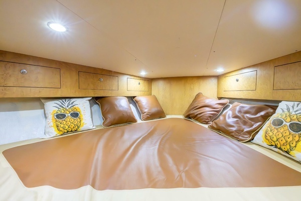 Predator 35 Express Yacht For Sale