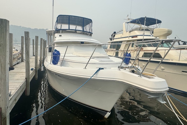 Liquid Assets 44ft Carver Yacht For Sale