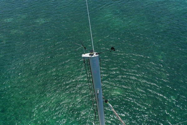 View Finder 39ft Bali Yacht For Sale