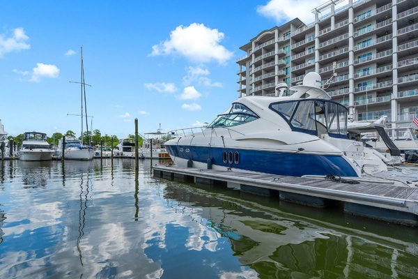 Gratitude 52ft Cruisers Yachts Yacht For Sale