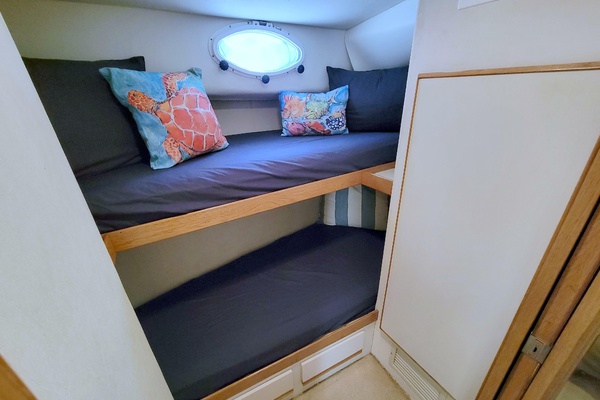 Always Something 50ft Bertram Yacht For Sale