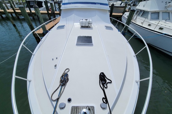 Always Something 50ft Bertram Yacht For Sale