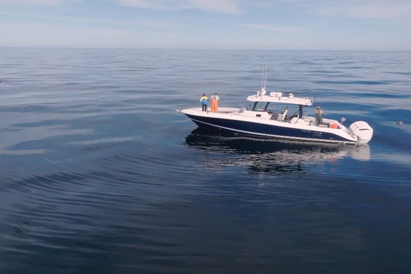 42ft HCB Yacht For Sale