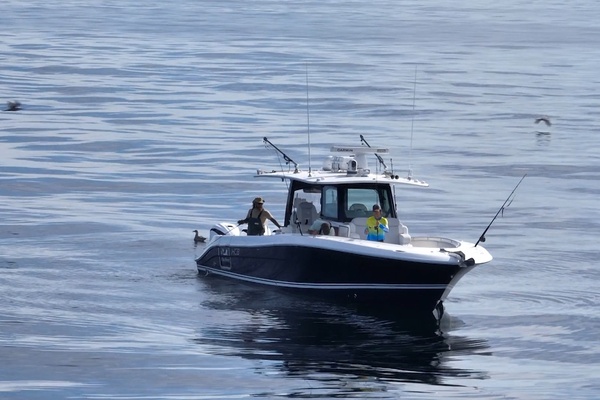 42ft HCB Yacht For Sale