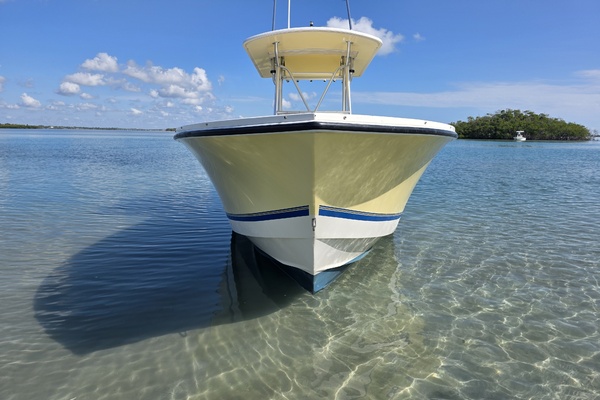 26ft Regulator Yacht For Sale