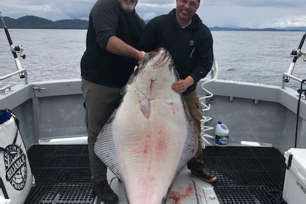 HERRING IMPAIRED 2018 42 Little Hoquiam Boat Works