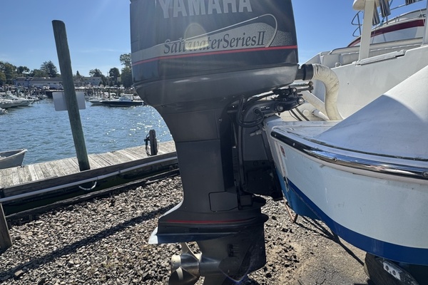 My Seaductress 33ft Donzi Yacht For Sale