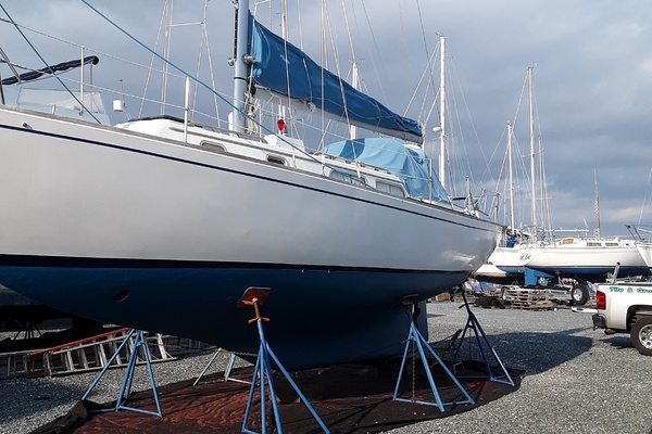 Lucky Dog 35ft Pearson Yacht For Sale