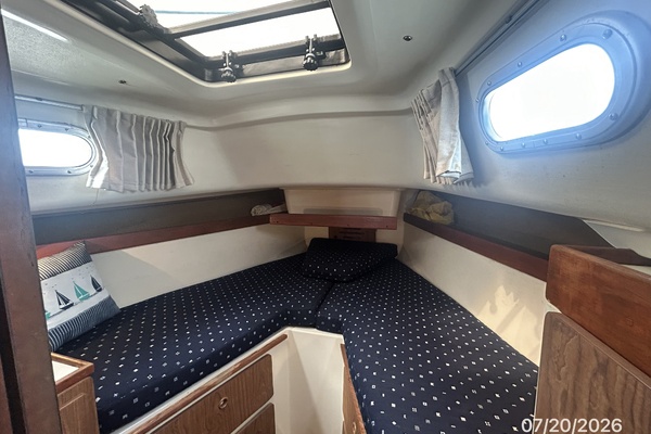 Lucky Dog 35ft Pearson Yacht For Sale