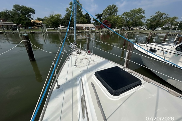 Lucky Dog 35ft Pearson Yacht For Sale
