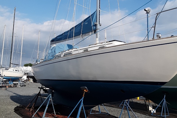 Lucky Dog 35ft Pearson Yacht For Sale