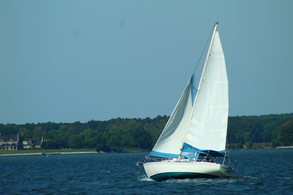 Lucky Dog 35ft Pearson Yacht For Sale