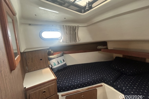 Lucky Dog 35ft Pearson Yacht For Sale