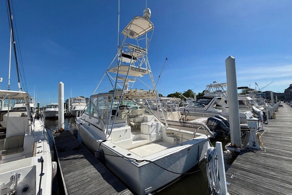 35ft Cabo Yacht For Sale