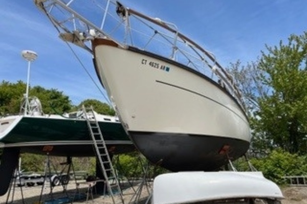 38ft Nauitcat Yacht For Sale
