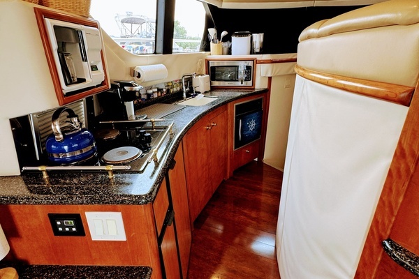 1999 Carver 45
