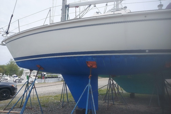 Tapatio 33ft Pearson Yacht For Sale