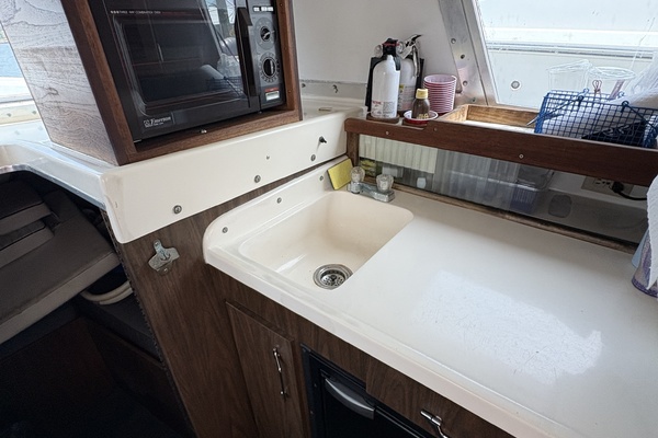 31ft Bertram Yacht For Sale