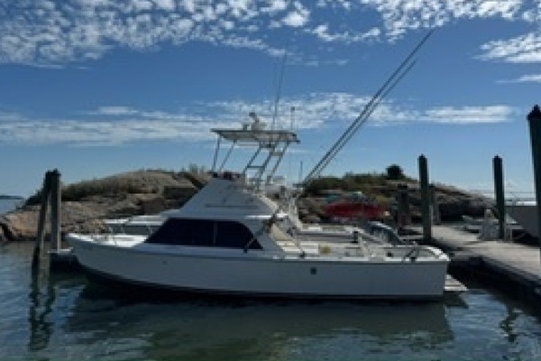 1972 Bertram 31