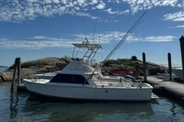 31-ft-Bertram-1972-31- Branford Connecticut United States  yacht for sale