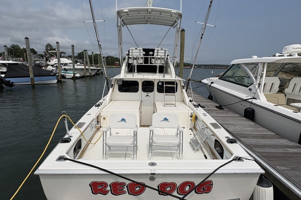 31ft Bertram Yacht For Sale