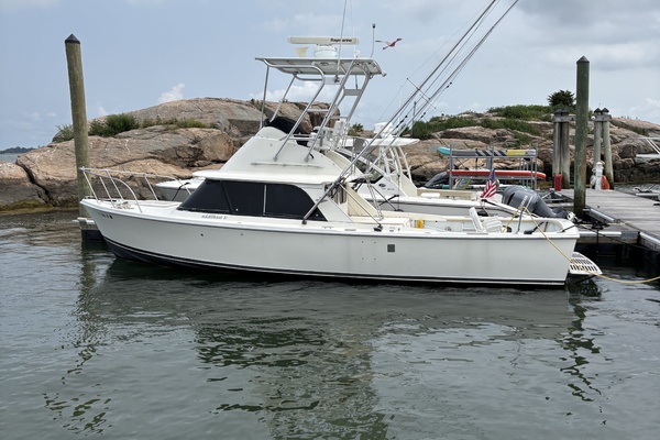 31ft Bertram Yacht For Sale