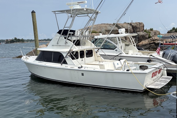 31ft Bertram Yacht For Sale