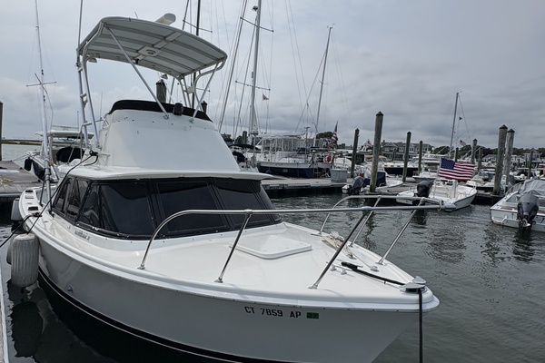 31ft Bertram Yacht For Sale