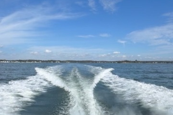 31ft Bertram Yacht For Sale