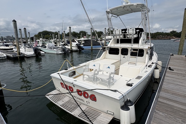 31ft Bertram Yacht For Sale