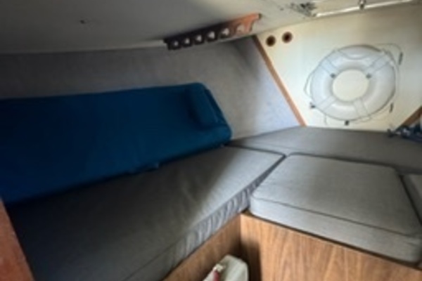 31ft Bertram Yacht For Sale