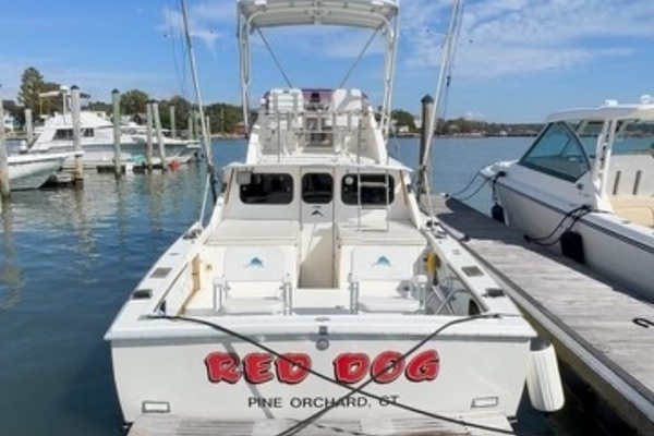31ft Bertram Yacht For Sale