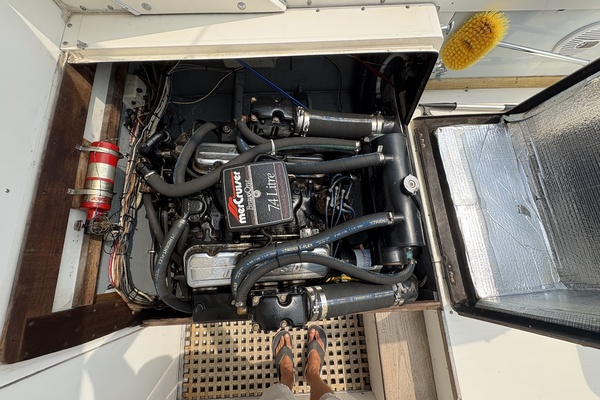 31ft Bertram Yacht For Sale