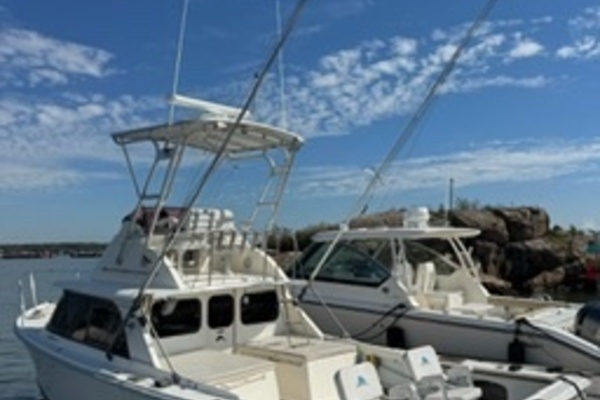 31ft Bertram Yacht For Sale