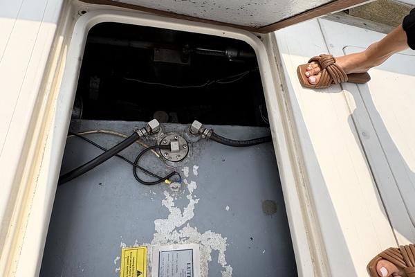 31ft Bertram Yacht For Sale