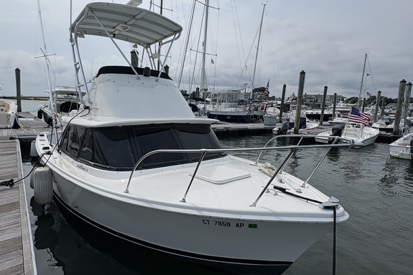 31ft Bertram Yacht For Sale