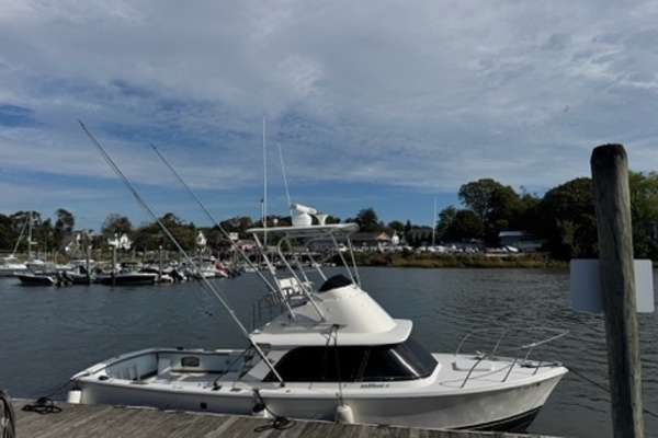 31ft Bertram Yacht For Sale