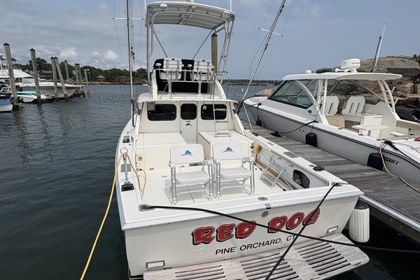 31ft Bertram Yacht For Sale