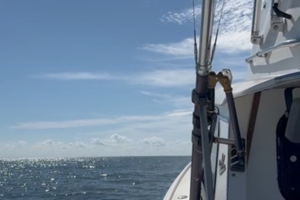 31ft Bertram Yacht For Sale