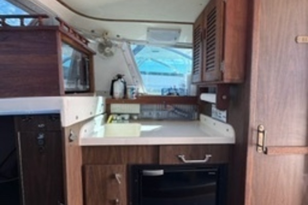 31ft Bertram Yacht For Sale