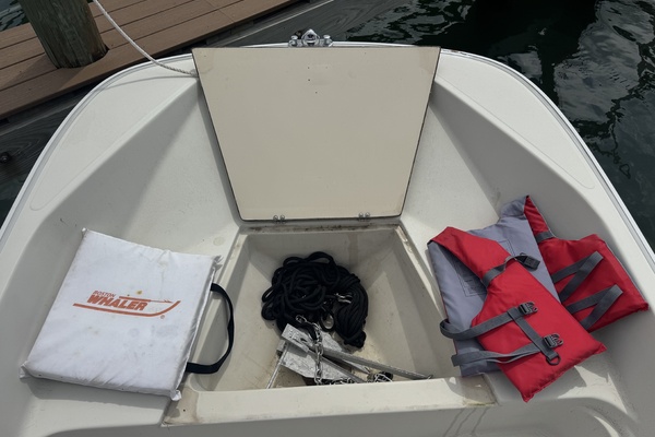 17ft Boston Whaler Yacht For Sale